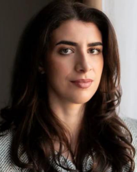 Vlaicu Ilinca 4 x 5 v2